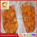 Hoe Sales Delicious Dried Apricot